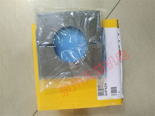 天益机电供应"VS2406-02" "GHP42X" "205207RS " "IR4003SK2P4B" "D3W004CNTW91" 