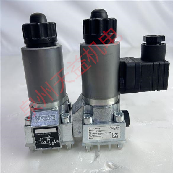 天益机电HAWE工业产品"RZ6.02-28" "GR2-1R-A24  1" "SG0R-ME2" "R0.9   " 