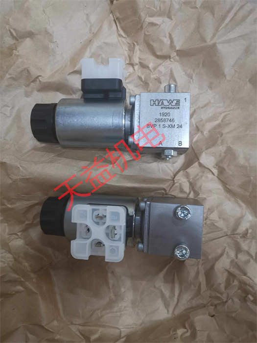 天益机电HAWE工业产品"RK1 1" "HAWE BVP1S-XM24" "LP100-12-30" 