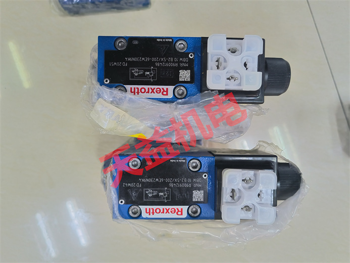 DBW10B2-5X 200-6EW230N9K4.jpg